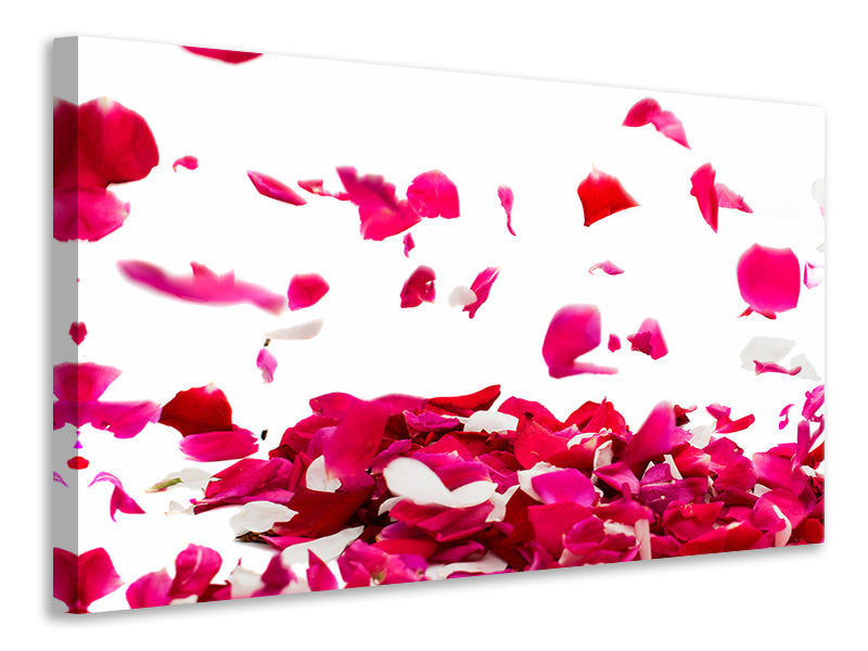 Canvas print Let It Rain Red Roses For Me