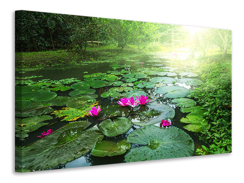 Canvas print Garden Pond