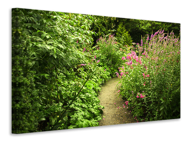 Canvas print Garden Path