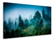 Canvas print Mysterious Forest