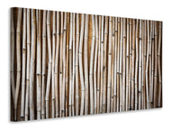 Canvas print Dried Bamboos