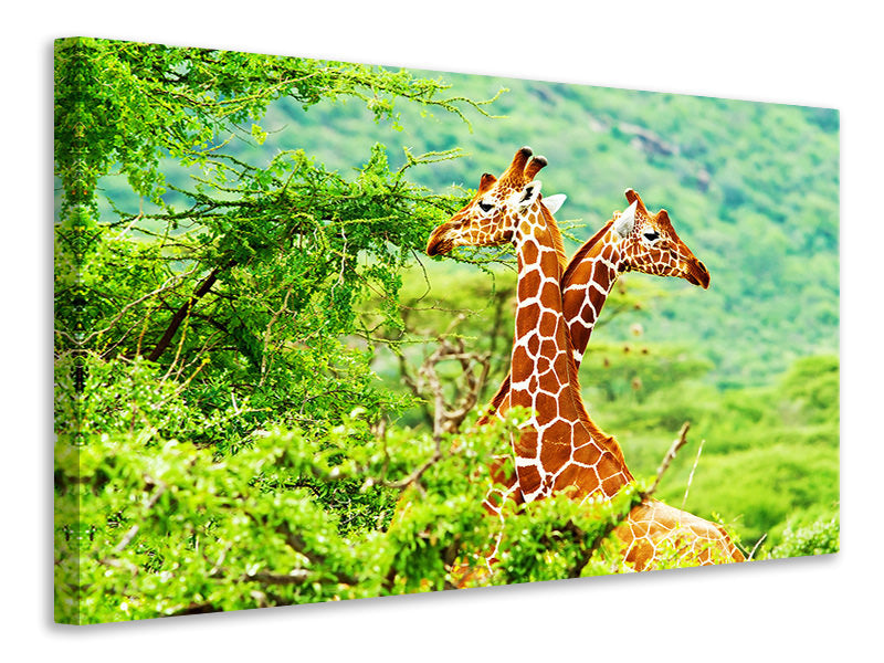 Canvas print Giraffes Love