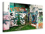 Canvas print Graffiti In The Backyard
