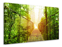 Load image into Gallery viewer, Canvas print Suspension Bridge
