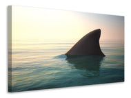 Canvas print Shark Fin