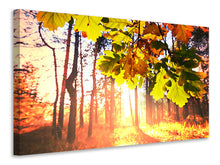 Load image into Gallery viewer, Canvas print Autumn
