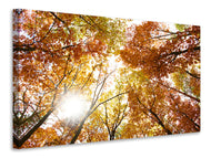 Canvas print Enlightened Autumn Trees