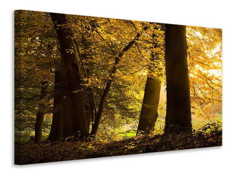 Canvas print Autumn Leaves
