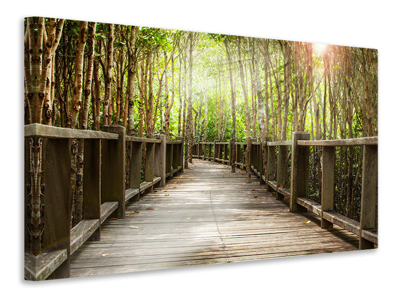 Canvas print Wooden Bridge