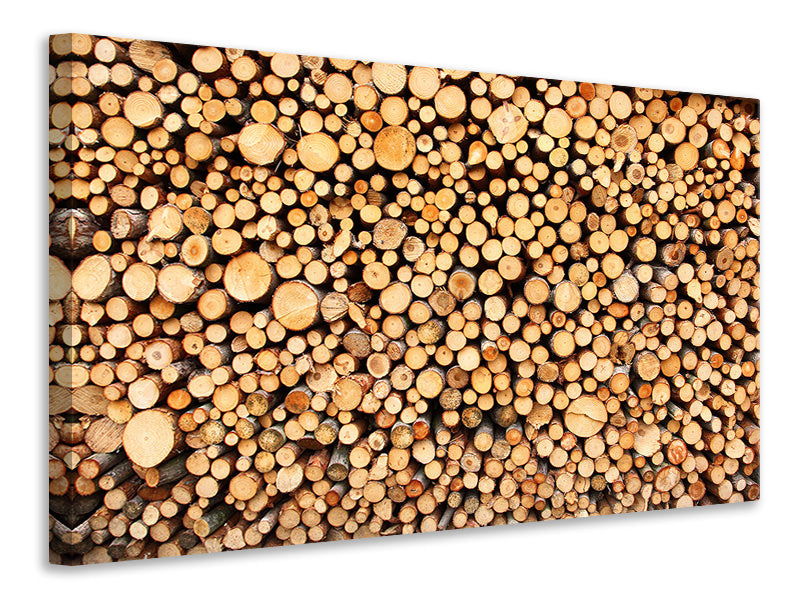 Canvas print Logs