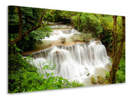 Canvas print In Treehouse