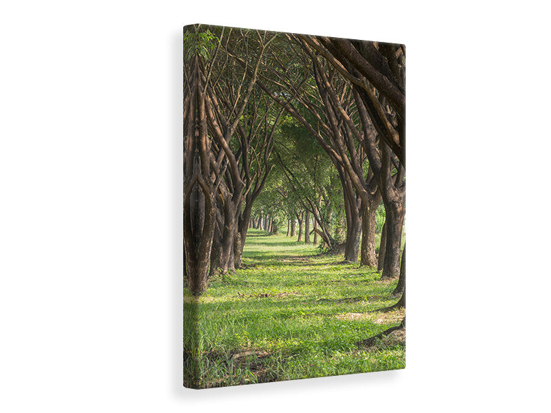 Canvas print In The Forest