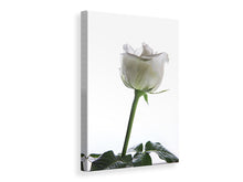 Load image into Gallery viewer, Canvas print On Behalf Of The Rose
