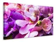 Canvas print Orchid Paradise