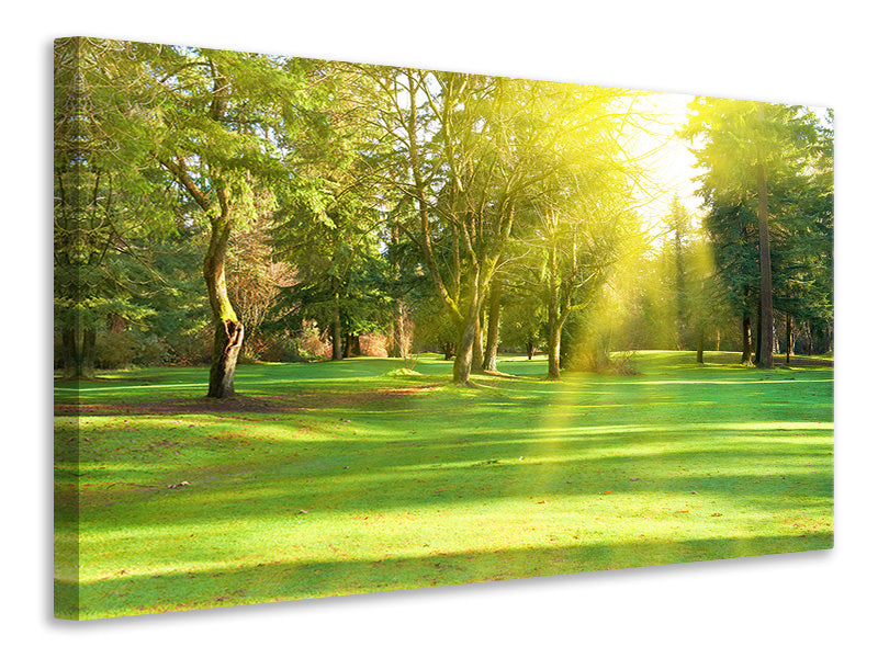 Canvas print In The Park