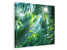Load image into Gallery viewer, Canvas print In Tropical Forest
