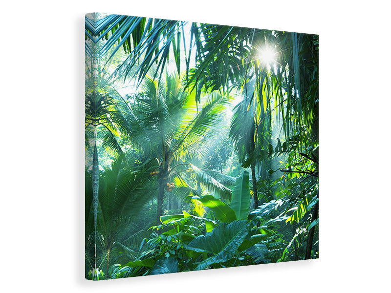 Canvas print In Tropical Forest
