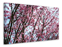 Load image into Gallery viewer, Canvas print Japanese Cherry Blossom
