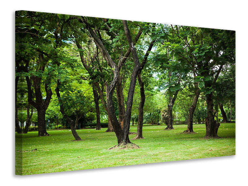 Canvas print Cherry Garden