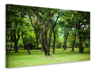Canvas print Cherry Garden
