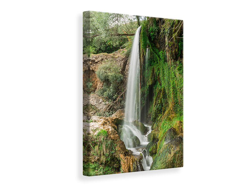 Canvas print Clearly Waterfall