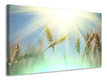 Load image into Gallery viewer, Canvas print King Of Cereals

