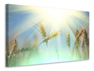 Canvas print King Of Cereals