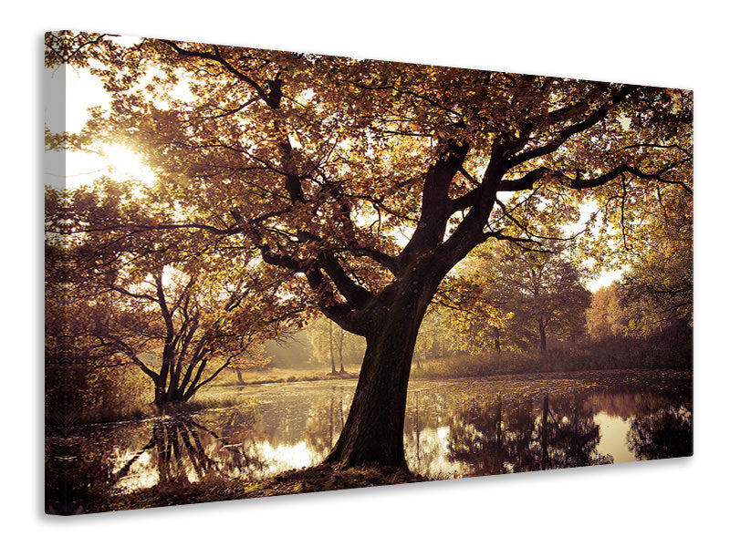 Canvas print Landscape Park
