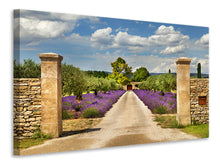 Load image into Gallery viewer, Canvas print Lavender Garden
