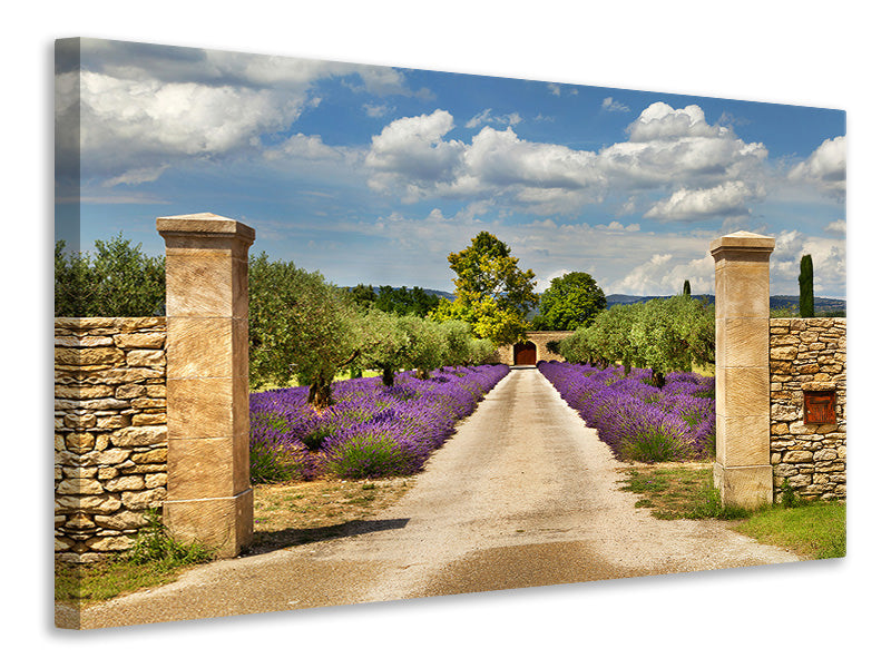 Canvas print Lavender Garden