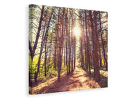 Canvas print Light At The End Of The Forest Path