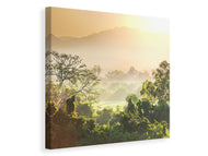 Canvas print Light Show In forest