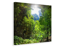 Load image into Gallery viewer, Canvas print Clearing In The Jungle
