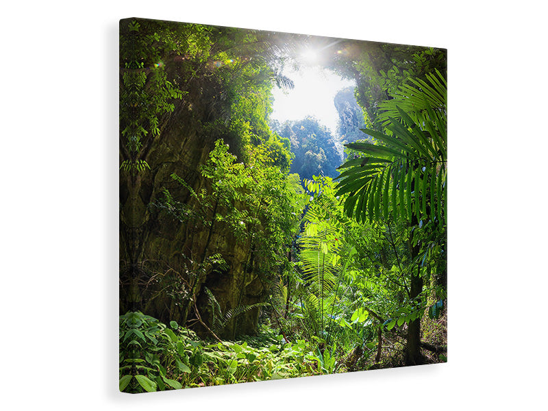 Canvas print Clearing In The Jungle