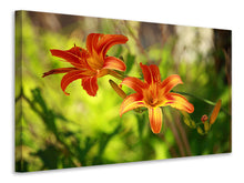 Load image into Gallery viewer, Canvas print Lilies In Nature
