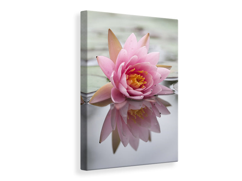 Canvas print Lotus