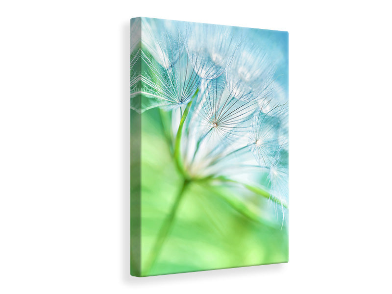 Canvas print Macro Dandelion