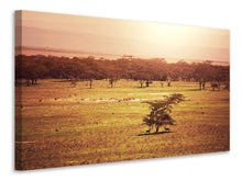 Load image into Gallery viewer, Canvas print Picturesque Africa
