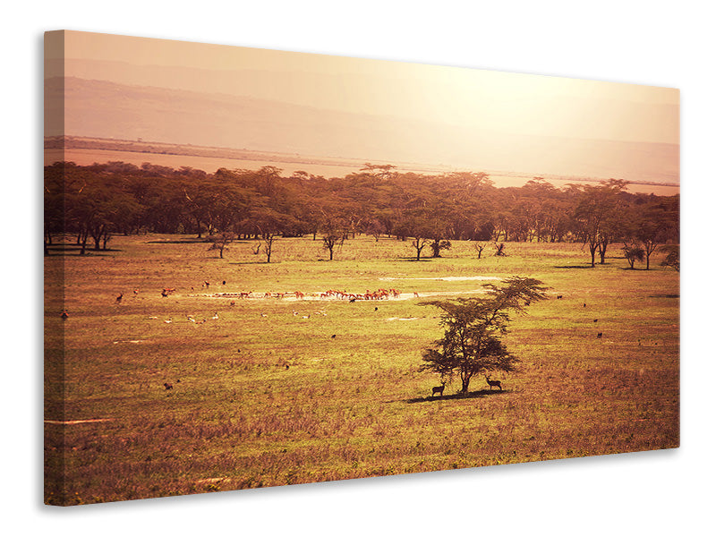 Canvas print Picturesque Africa