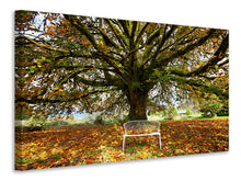 Load image into Gallery viewer, Canvas print My Favorite Tree
