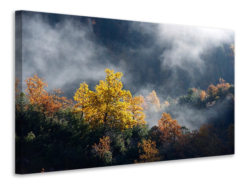 Canvas print Moonlight Forest