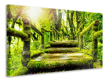 Load image into Gallery viewer, Canvas print Moss
