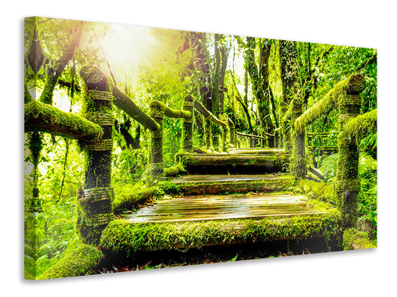 Canvas print Moss