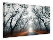 Load image into Gallery viewer, Canvas print Mysterious Mood In The Forest
