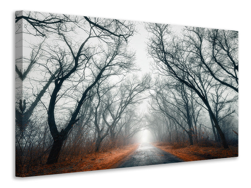 Canvas print Mysterious Mood In The Forest