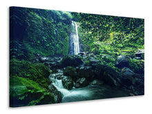 Load image into Gallery viewer, Canvas print Nature
