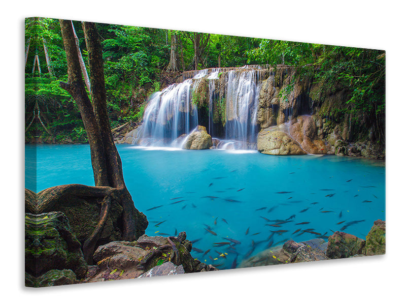 Canvas print Nature Waterfall