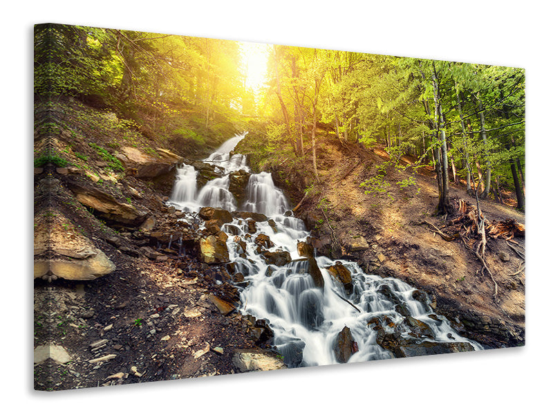 Canvas print Natural Beauty