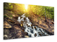 Canvas print Natural Beauty