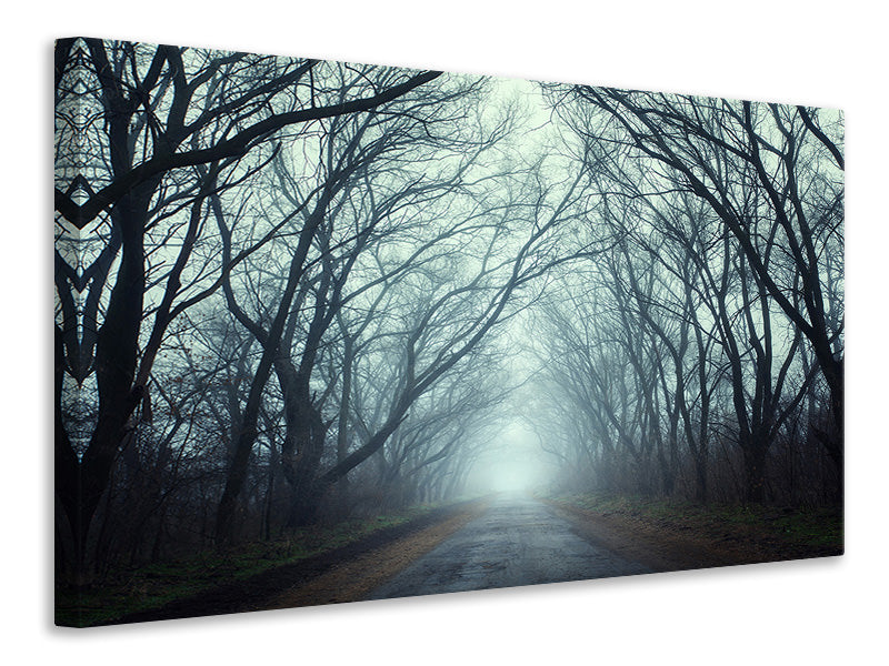 Canvas print Cloud Forest